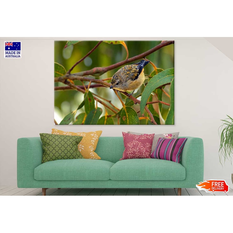Small Hummingbird Photograph Print 100% Australian Made