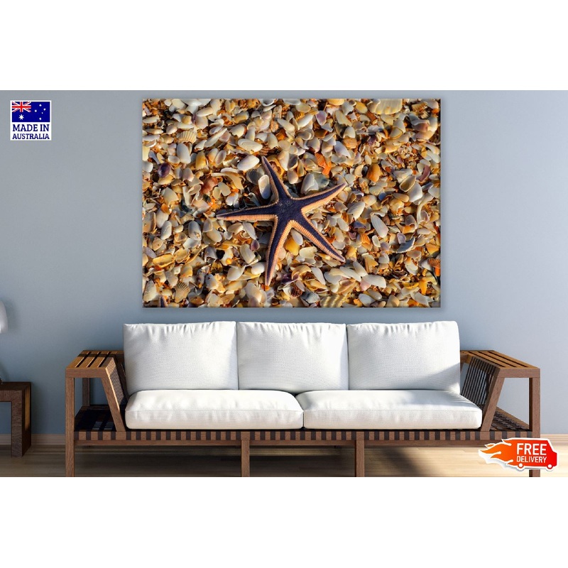 Starfish on Sea Shell Closeup Photograph Print 100% Australian Made