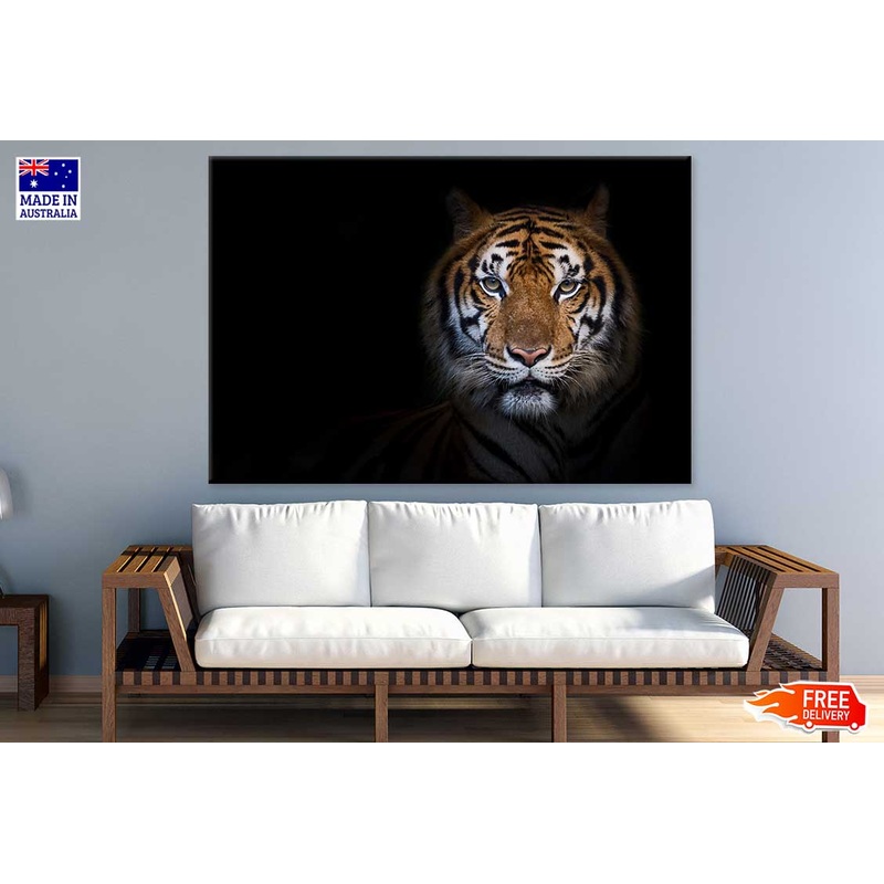 Tiger on Dark View Photograph Print 100% Australian Made