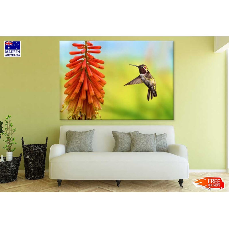 Tiny Hummingbird View Photograph Print 100% Australian Made
