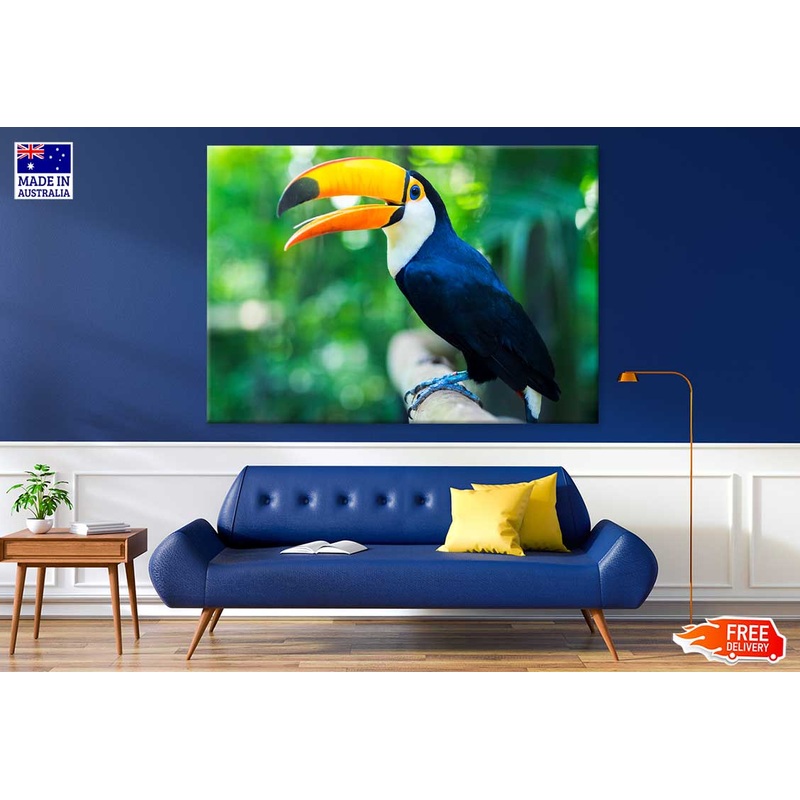 Toucan Bird View Photograph Print 100% Australian Made