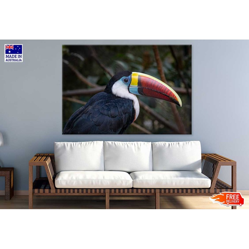 Toucans Bird Closeup Photograph Print 100% Australian Made