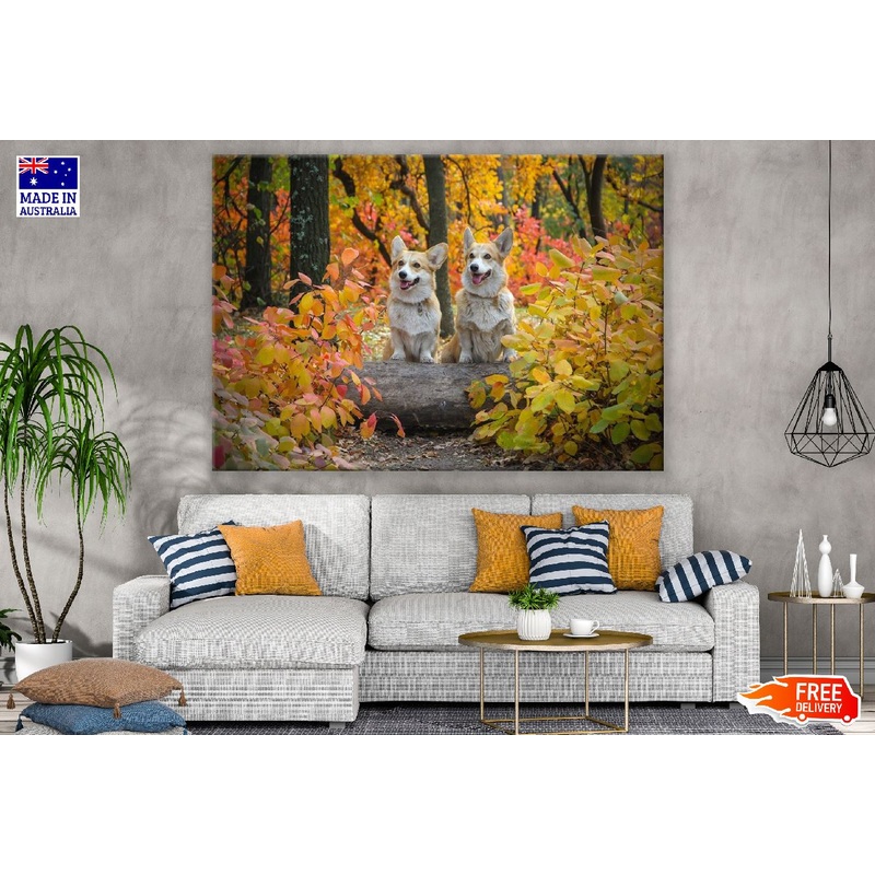 Two Dogs On Autumn Trees Photograph Print 100% Australian Made