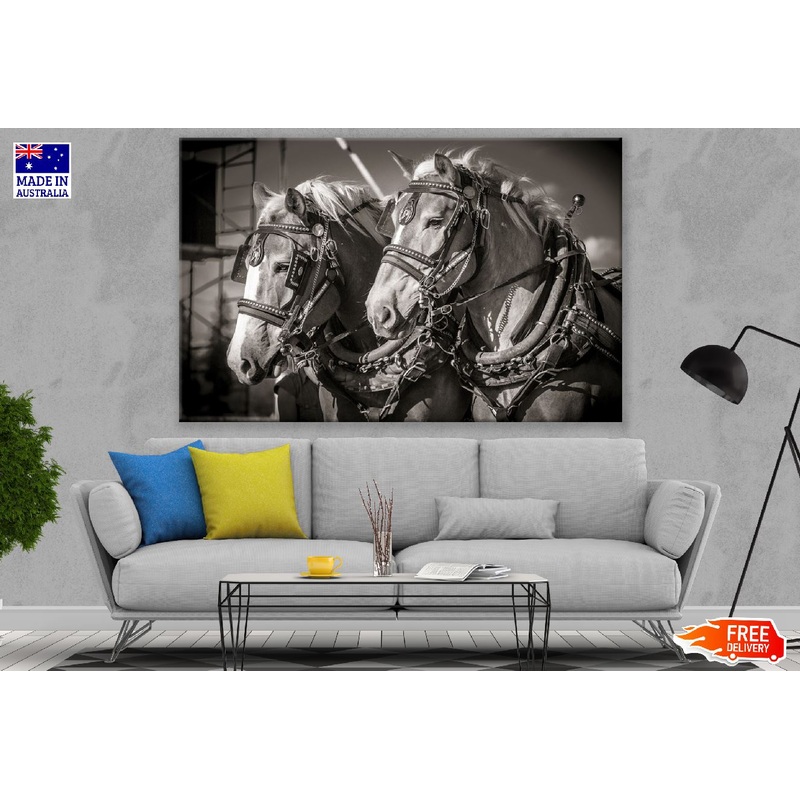 Two Horses Closeup B&W Photograph Print 100% Australian Made