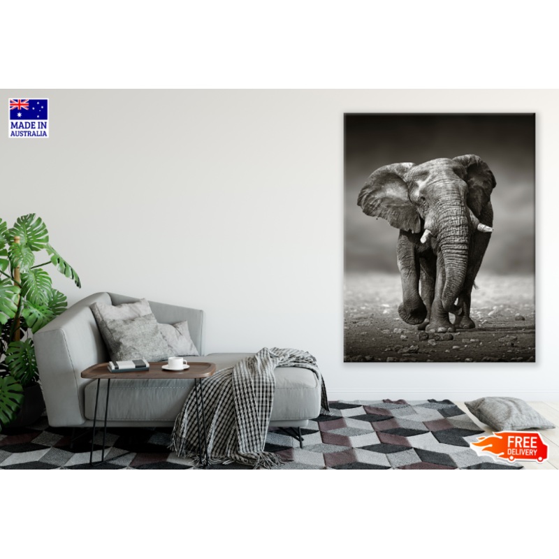 Walking Elephant B&W Photograph Print 100% Australian Made