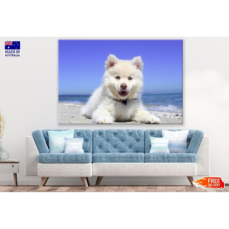 White Husky Puppy Closeup Photograph Print 100% Australian Made