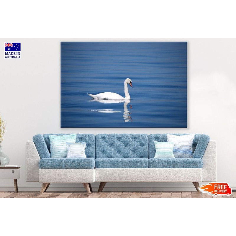 White Swan Bird on Sea Photograph Print 100% Australian Made