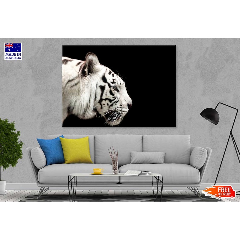 White Tiger Side View Photograph Print 100% Australian Made