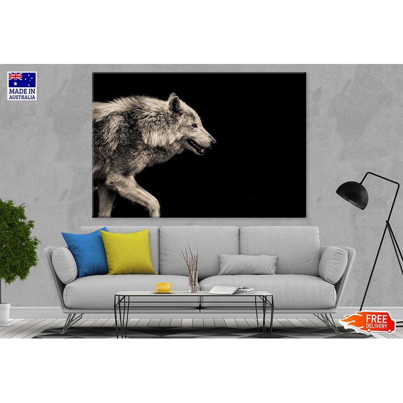 Wolf Closeup Side View Photograph Print 100% Australian Made