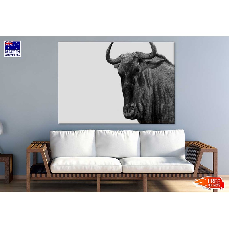 African Buffalo B&W Photograph Print 100% Australian Made