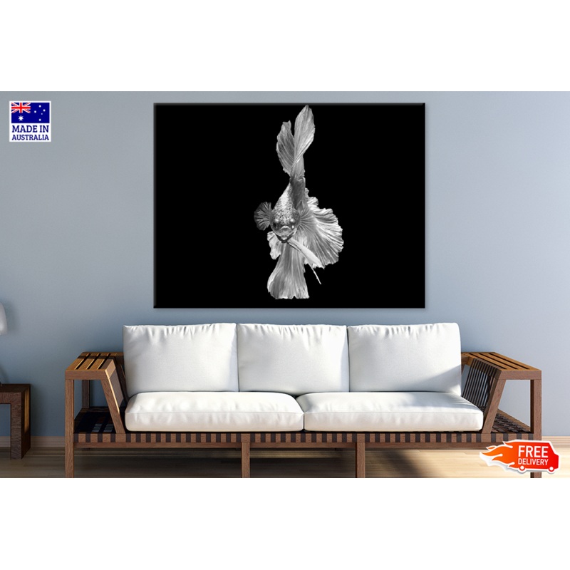 B&W Fish Photograph Print 100% Australian Made