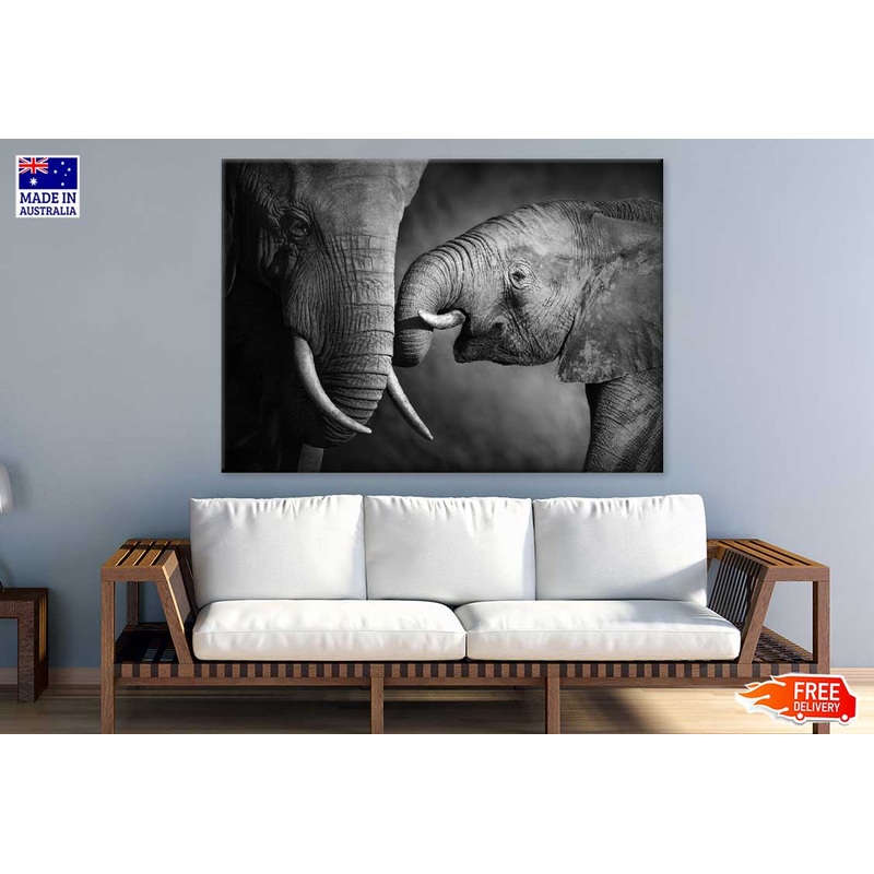 Baby Elephant with Mom B&W View Photograph Print 100% Australian Made
