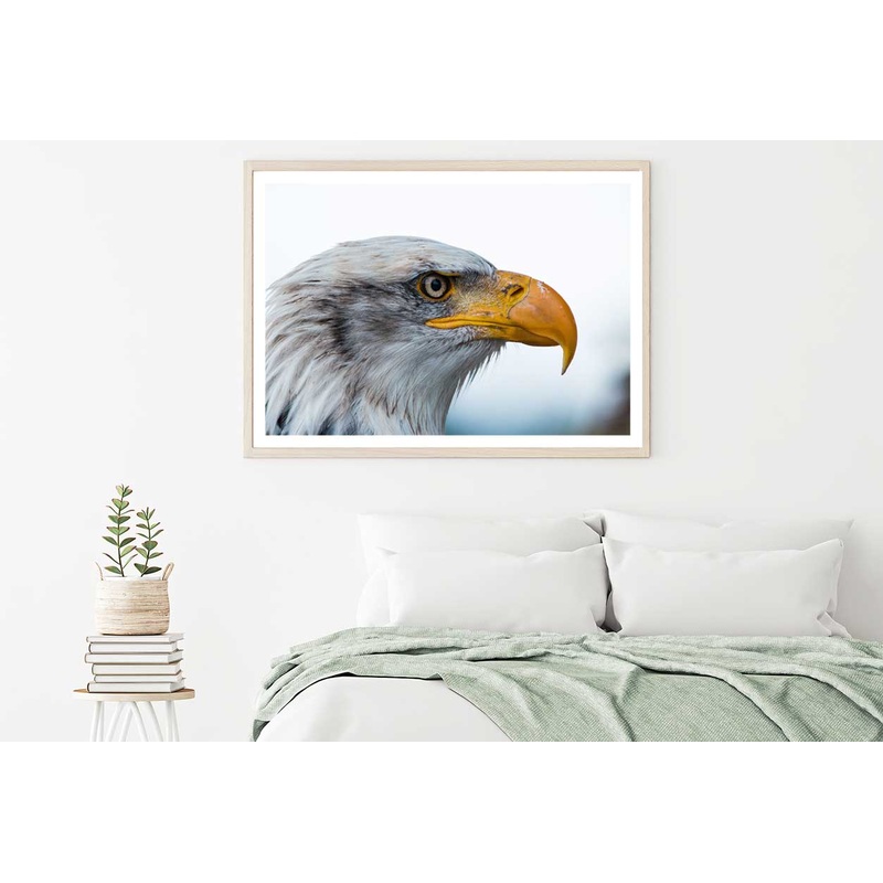 Bald Eagle Closeup View Photograph Home Decor Premium Quality Poster Print Choose Your Sizes