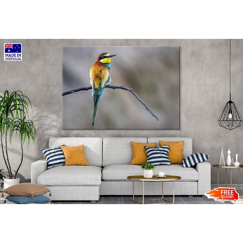 Bee Eater Bird on Branch View Photograph Print 100% Australian Made