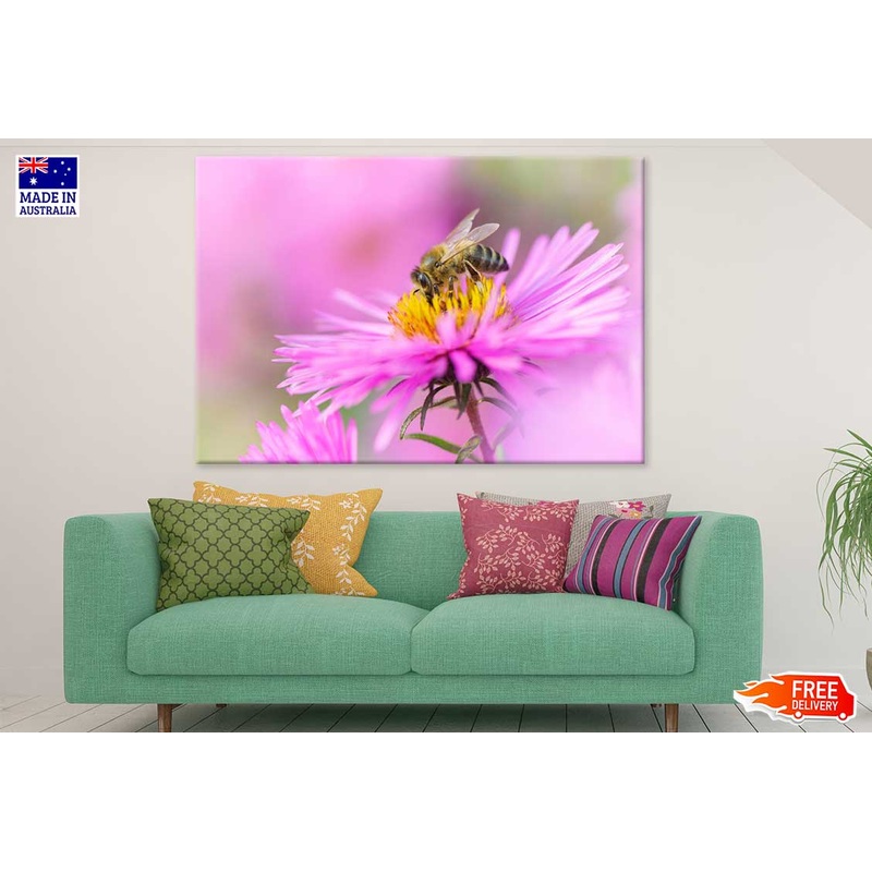 Bee On Pink Daisy Flower View Photograph Print 100% Australian Made
