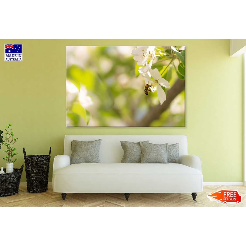 Bee on White Blossom Flower View Photograph Print 100% Australian Made