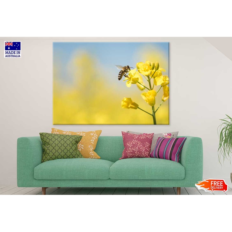 Bee on Yellow Flower Plant View Photograph Print 100% Australian Made