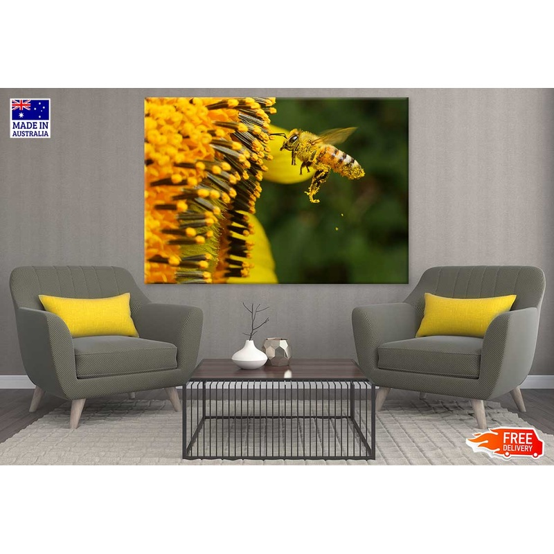 Bee on Yellow Flower Pollen Macro Photograph Print 100% Australian Made