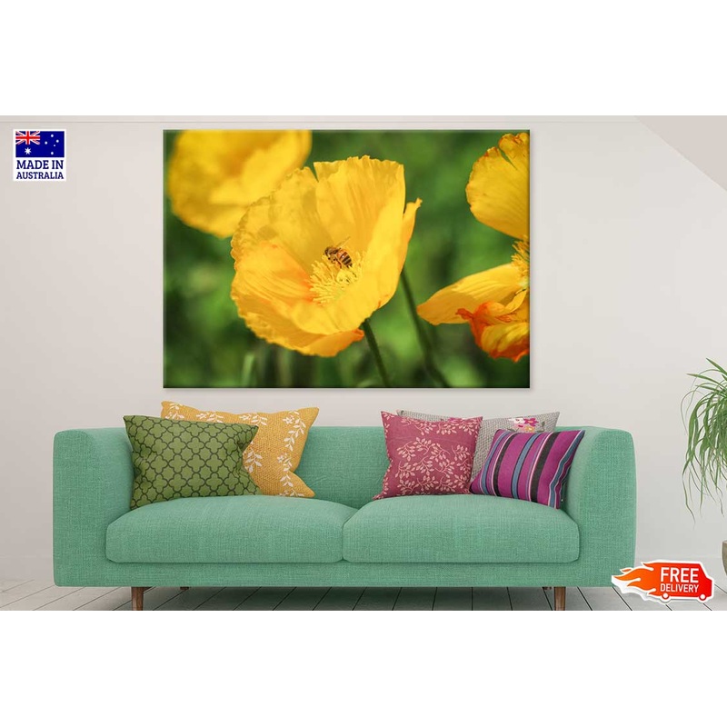 Bee on Yellow Poppy Flower View Photograph Print 100% Australian Made