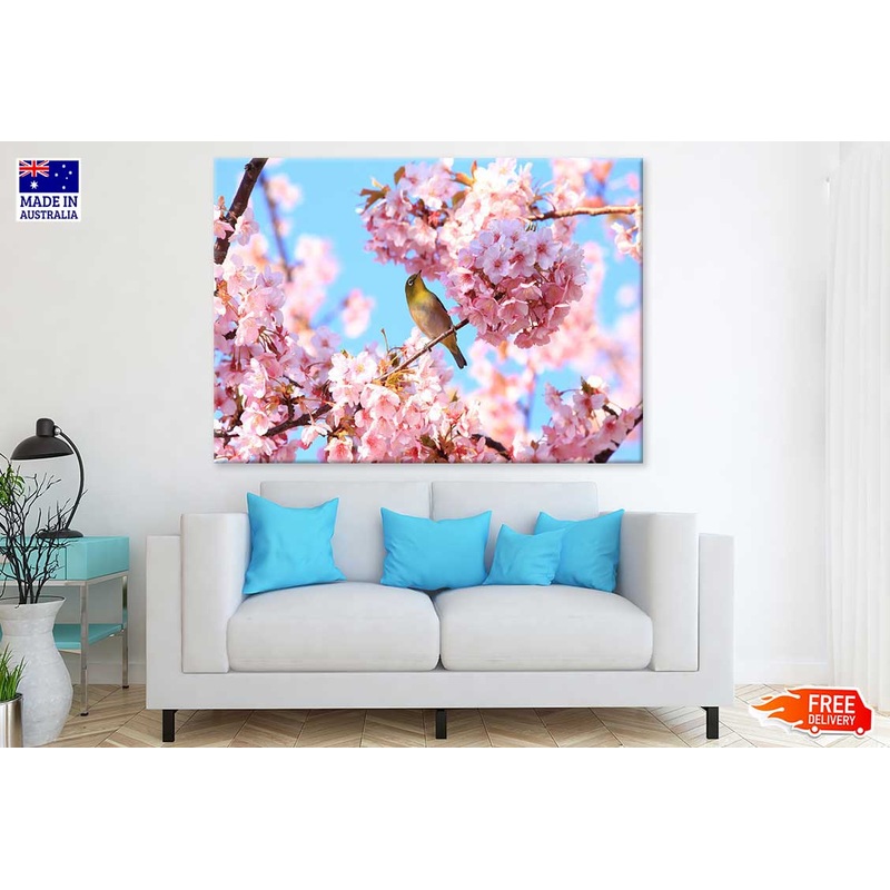 Bird on Pink Cherry Flower Tree View Photograph Print 100% Australian Made