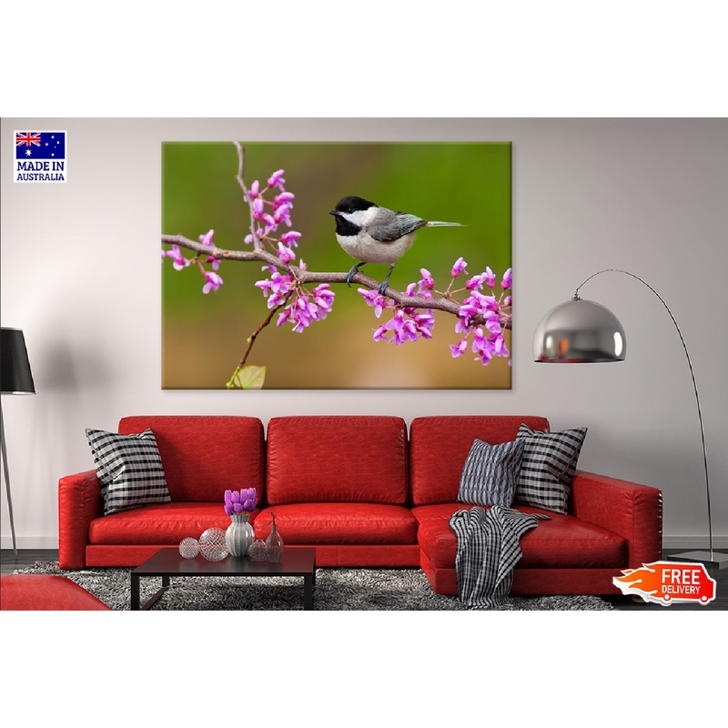 Black Capped Bird on Flower Tree Photograph Print 100% Australian Made