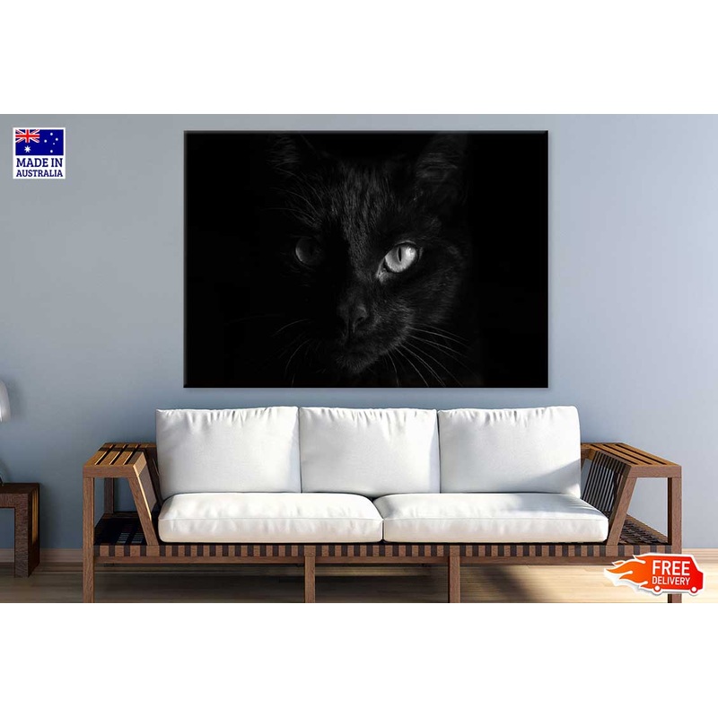 Black Cat Eye B&W View Photograph Print 100% Australian Made