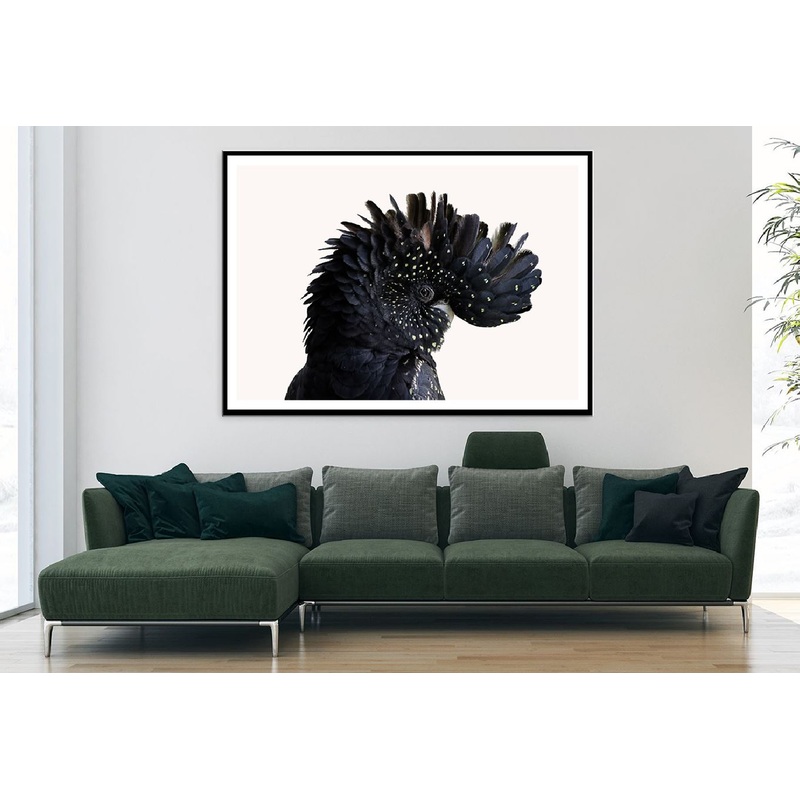Black Cockatoo Bird Closeup View Photograph Home Decor Premium Quality Poster Print Choose Your Sizes