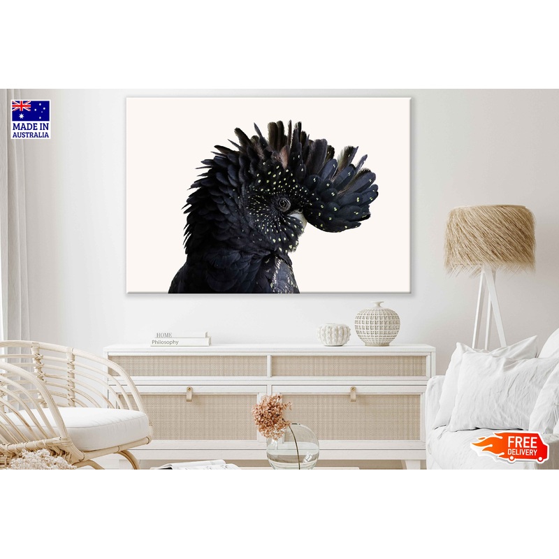 Black Cockatoo Bird Closeup View Photograph Print 100% Australian Made
