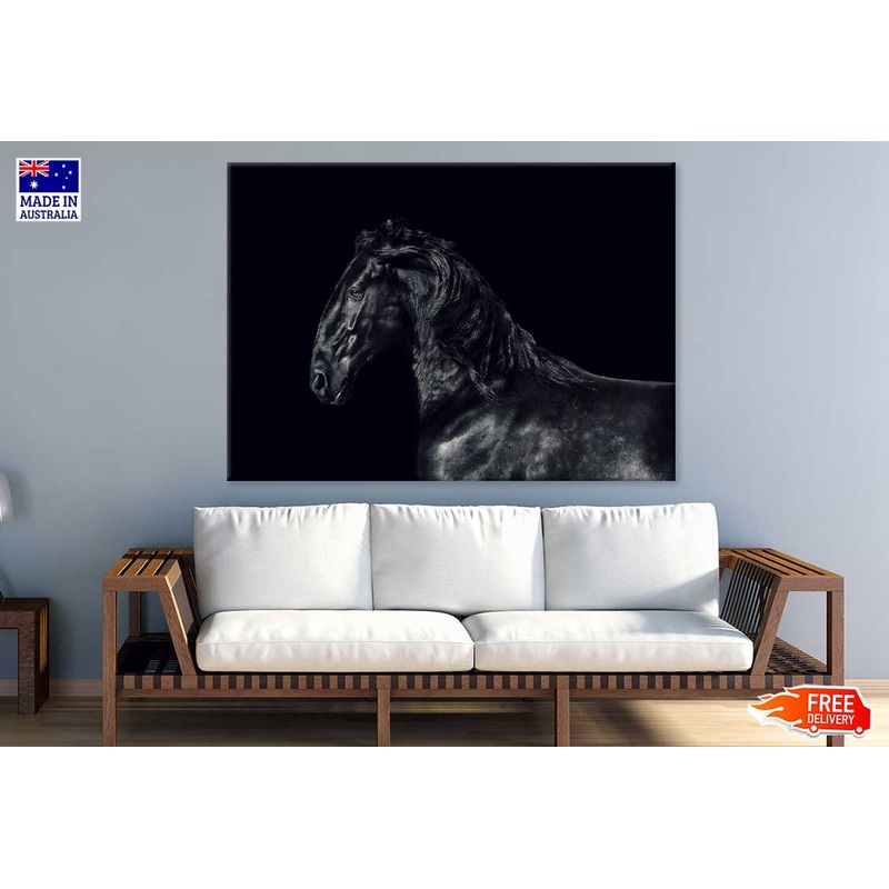 Black Horse View B&W Photograph Print 100% Australian Made