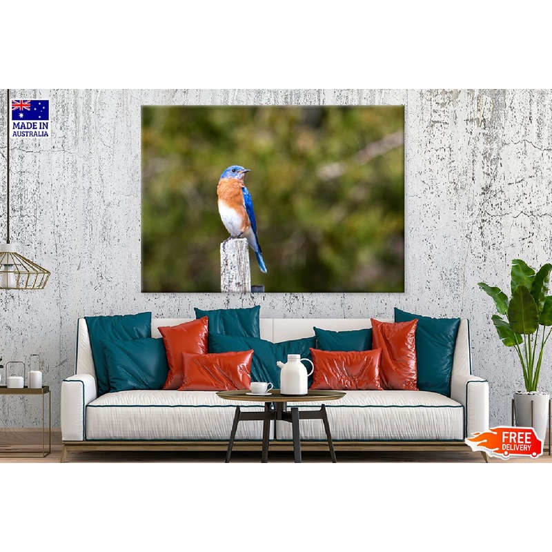 Blue Brown White Bird on Wood Photograph Print 100% Australian Made