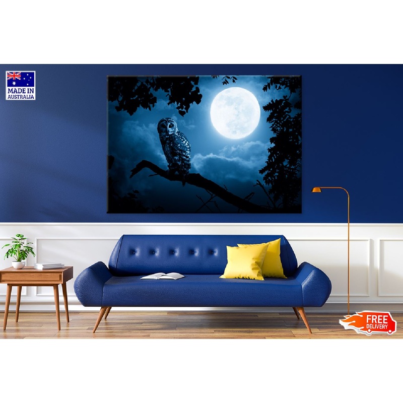 Bright Moon & Barred Owl on Tree Photograph Print 100% Australian Made