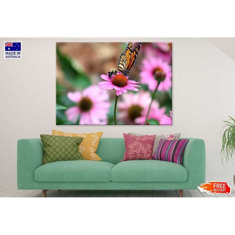 Butterfly & Bee on Pink Daisy Flower Photograph Print 100% Australian Made