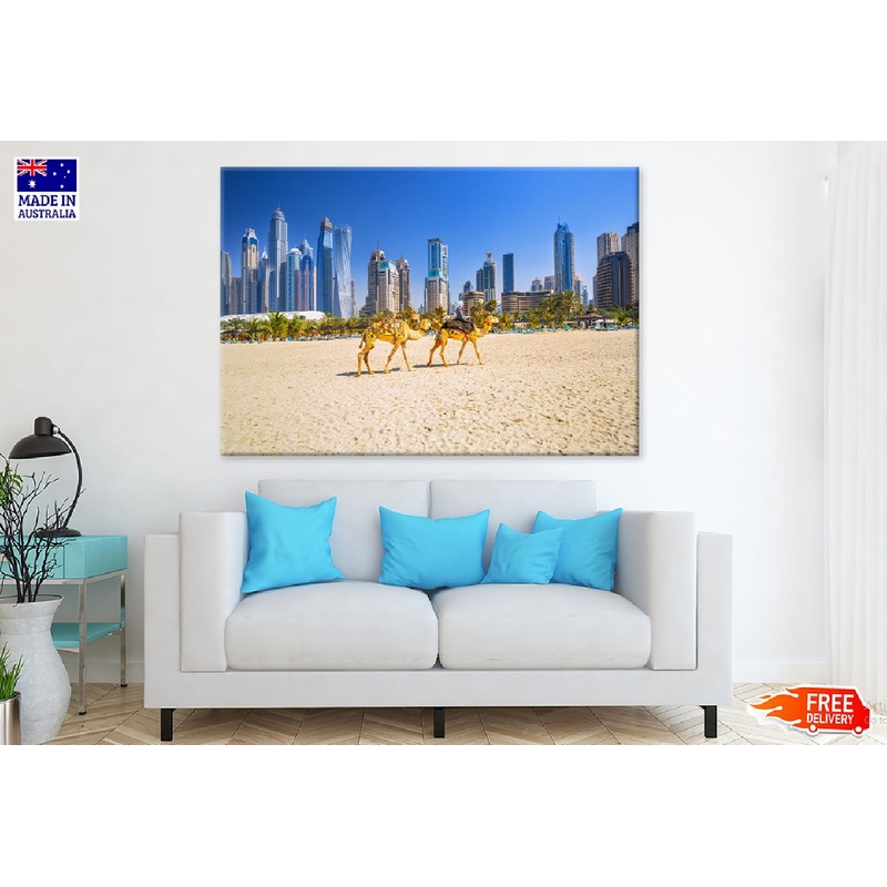 Camels on Jumeirah Sea Photograph in Dubai Print 100% Australian Made
