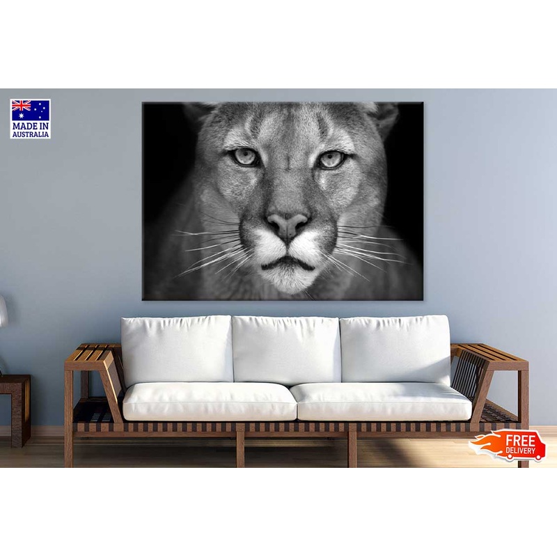 Cat Face Closeup B&W Photograph Print 100% Australian Made
