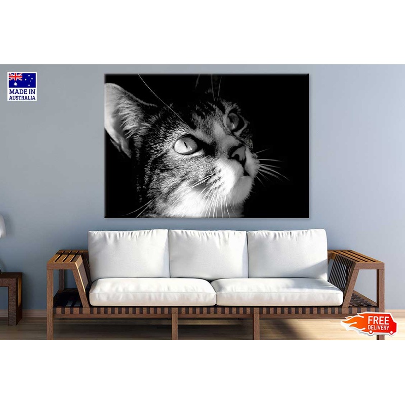 Cat Face View B&W Photograph Print 100% Australian Made