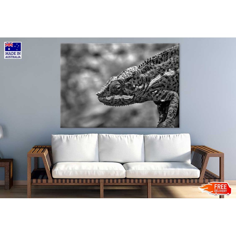 Chameleon Closeup B&W Photograph Print 100% Australian Made