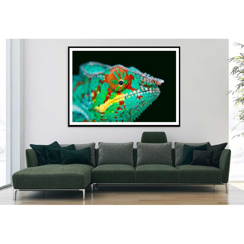 Chameleon Closeup View Photograph Home Decor Premium Quality Poster Print Choose Your Sizes