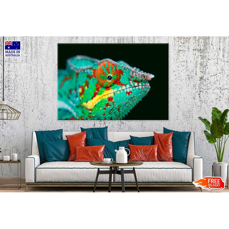Chameleon Closeup View Photograph Print 100% Australian Made