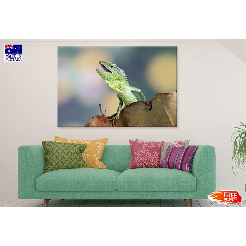 Chameleons Reptile Closeup View Photograph Print 100% Australian Made