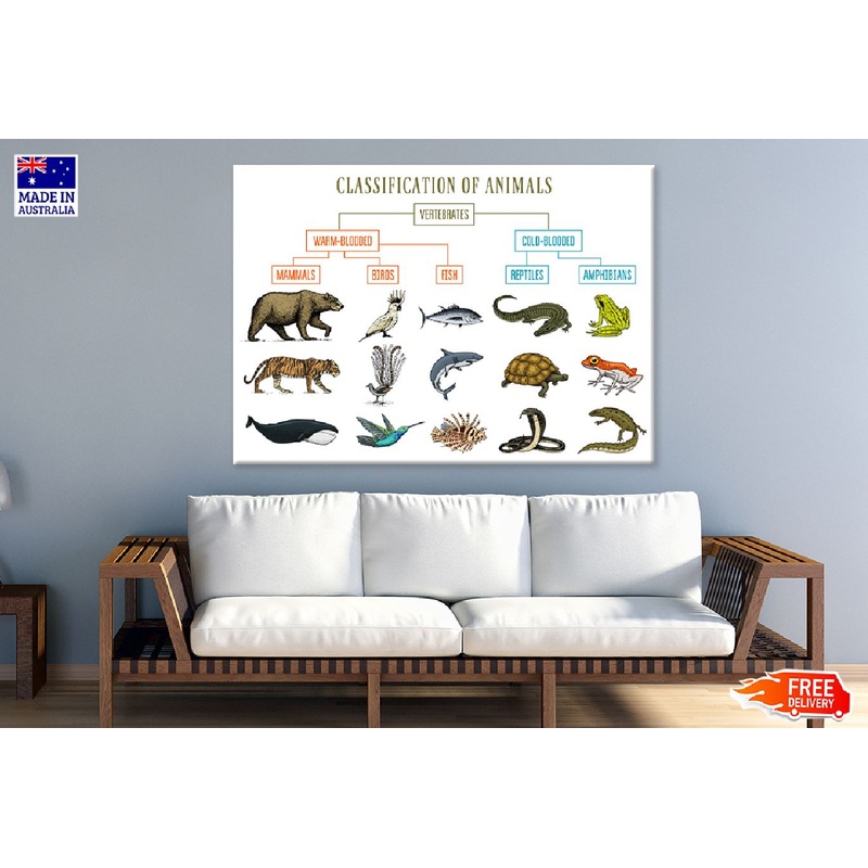Chart of Wild Creatures Vector Art Print 100% Australian Made