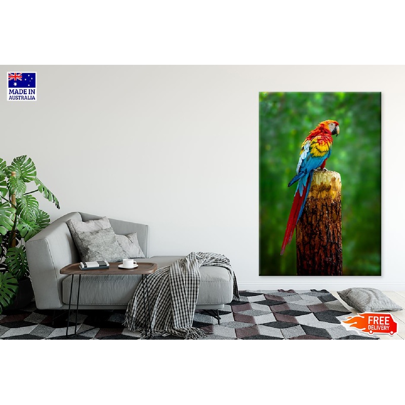 Colorful Macaw Parrot on Branch Photograph Print 100% Australian Made