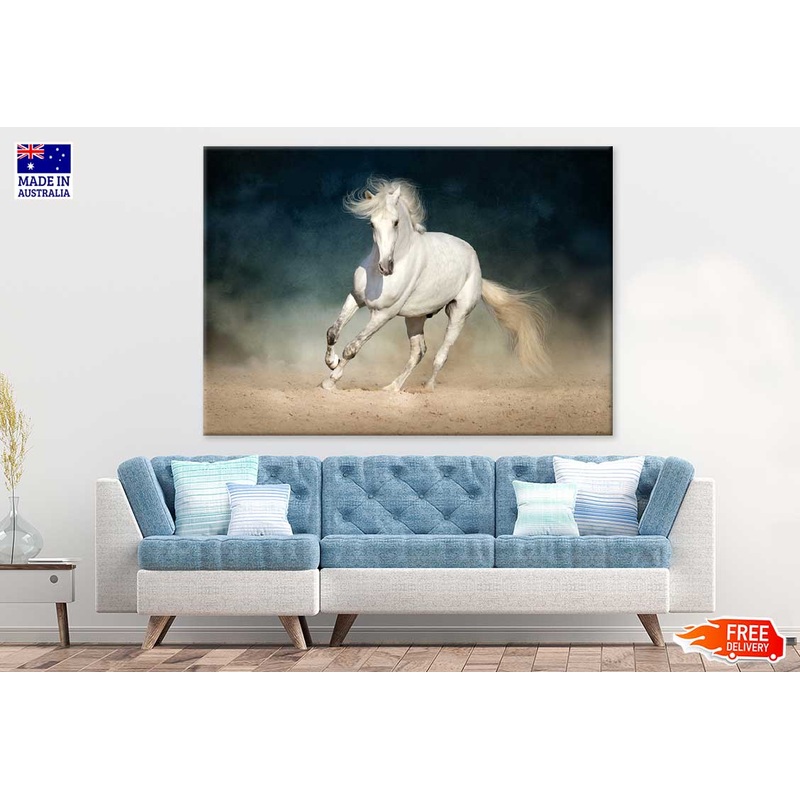 Running White Horse Photograph Print 100% Australian Made