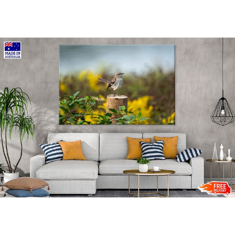 Sparrow Bird on Tree Log View Photograph Print 100% Australian Made