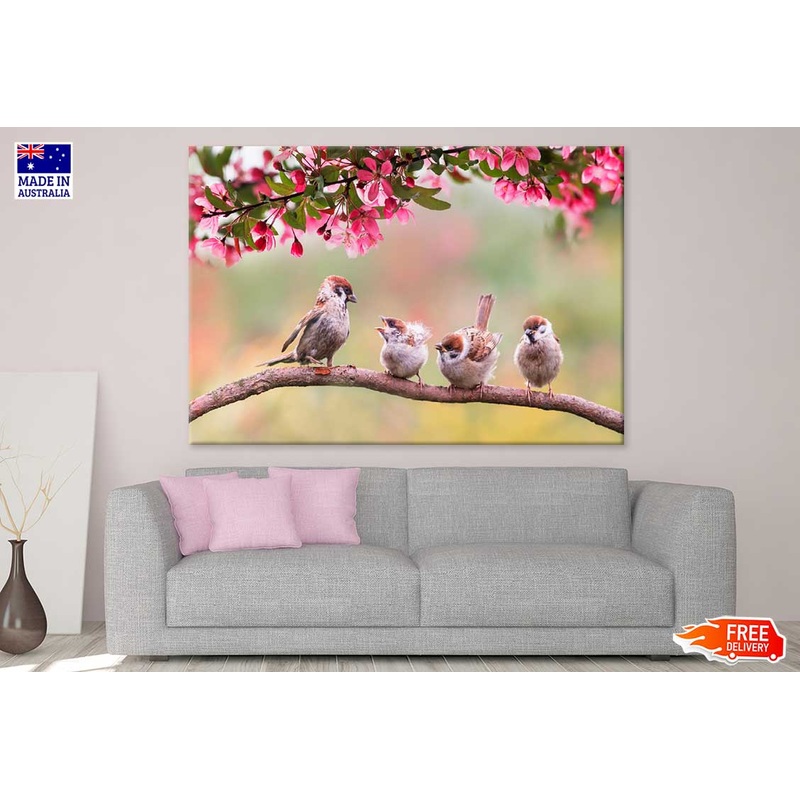 Spring Birds on Flower Tree View Photograph Print 100% Australian Made