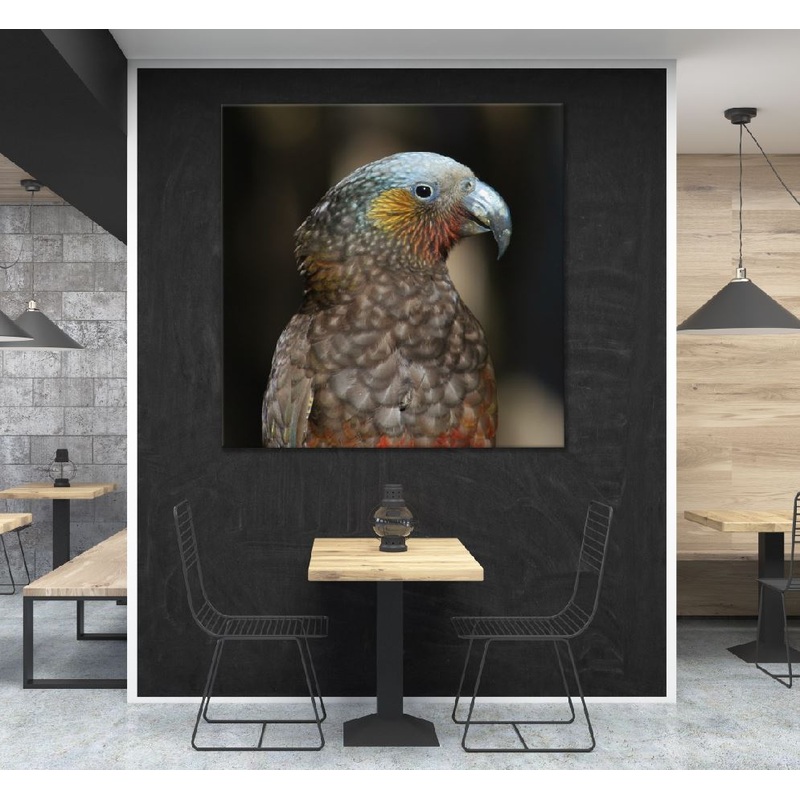 Square Canvas Spectacular Parrots Closeup View Photograph High Quality Print 100% Australian Made