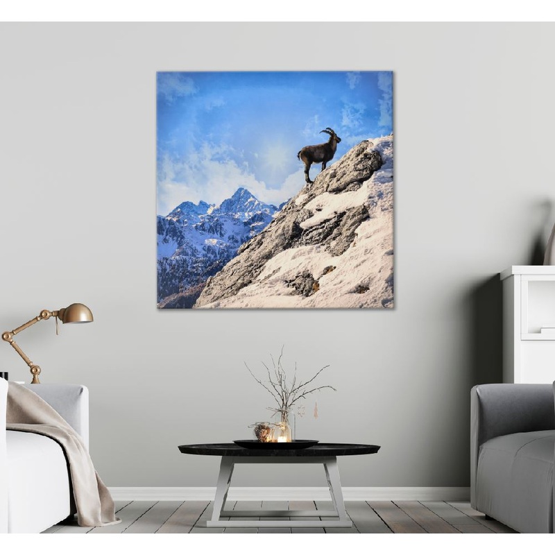 Square Canvas Steinbocks on Mountain View Photograph High Quality Print 100% Australian Made