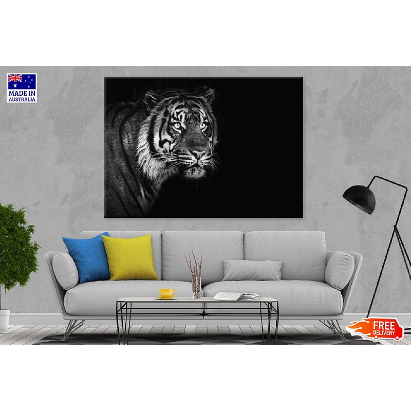 Sumatran Tiger Closeup B&W View Photograph Print 100% Australian Made