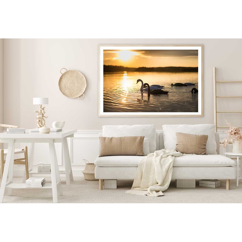 Swans on the Lake During Sunset View Photograph Home Decor Premium Quality Poster Print Choose Your Sizes