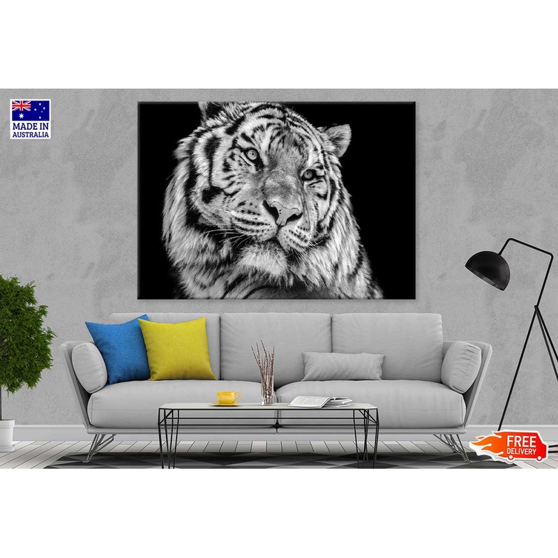 Tiger Face Closeup B&W Photograph Print 100% Australian Made