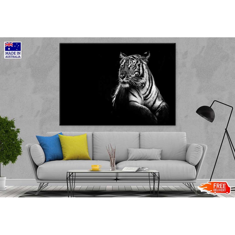 Tiger on Dark B&W Photograph Print 100% Australian Made